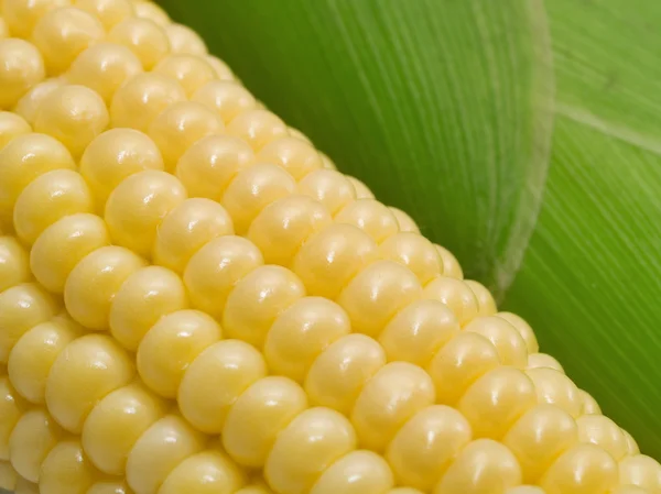 Кукурудзяна їжа на фоні — стокове фото