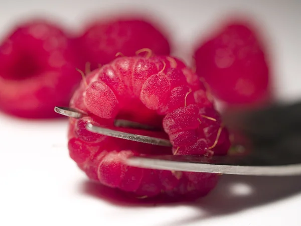 Raspberry pierced by a fork — Stock Photo, Image