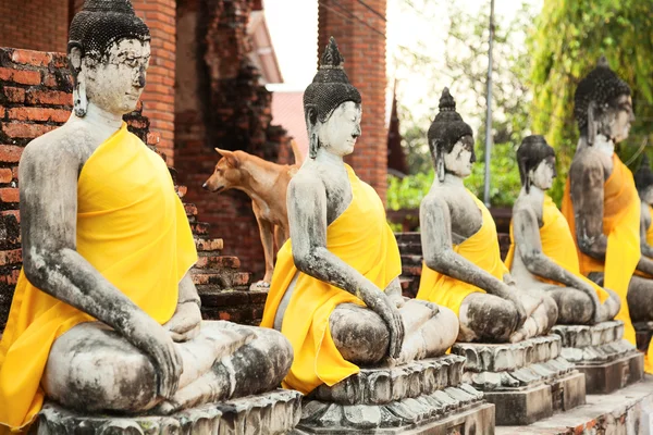 Wat Yai Chaimongkhon, Ayutthaya — Foto Stock