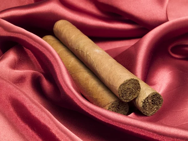 Expensive Cigars on background — Stock Photo, Image