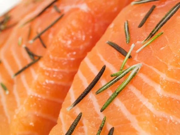 Raw salmon with rosemary — Stock Photo, Image