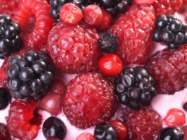 Fruchtbeeren-Joghurt — Stockfoto