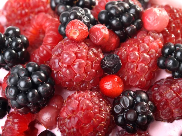 Świeże owoce z jogurtem — Zdjęcie stockowe