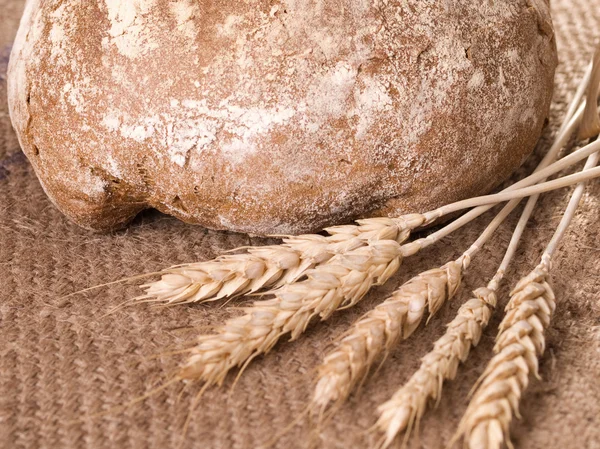 Tasty homemade Bakery — Stock Photo, Image