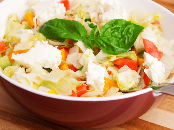 Salade de légumes aux poivrons — Photo
