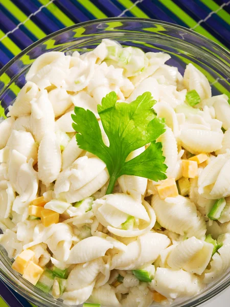 Pasta Collection - Shells salad — Stock Photo, Image