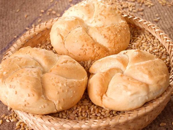 Vers gebakken broodjes — Stockfoto