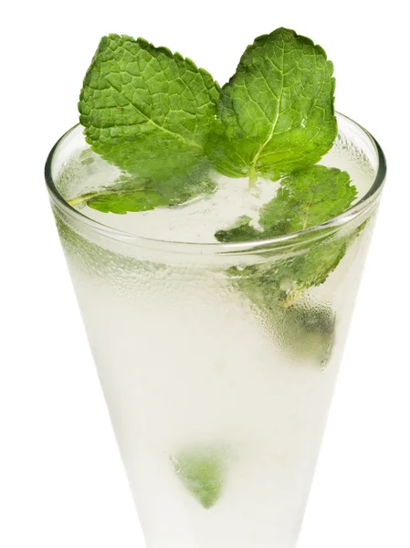 Tasty drink  Cocktail — Stock Photo, Image