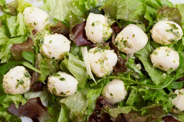 Salade verte avec mozzarella bébé — Photo