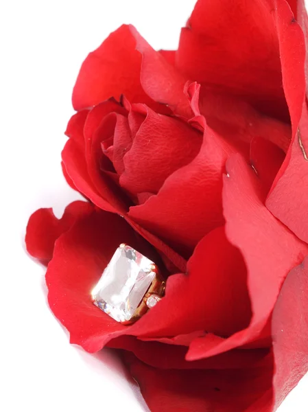 Engagement Ring with rose — Stock Photo, Image