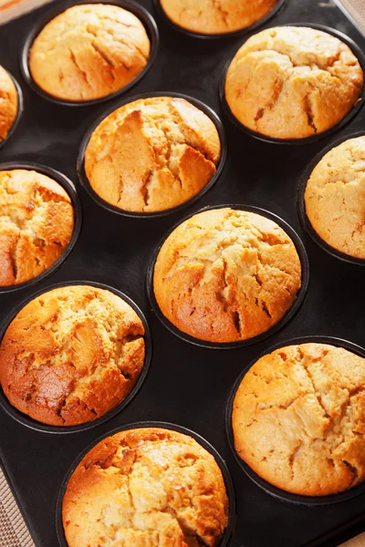 Savoureux muffins faits maison — Photo