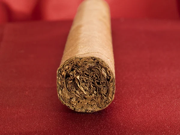 Cigar on red satin — Stock Photo, Image