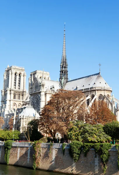 Notre Dame od Square du Jean Xxiii — Stock fotografie