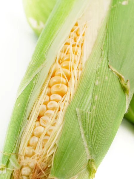 Comida de milho no fundo — Fotografia de Stock