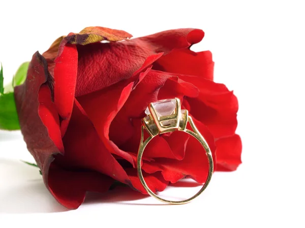 Ring en Rose achtergrond — Stockfoto