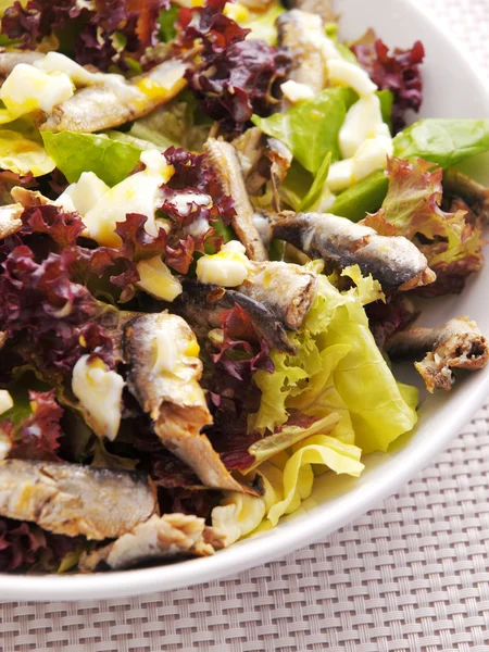 Chicken salad on background — Stock Photo, Image