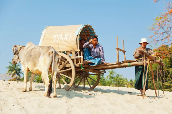 Burmese men  in Mingun — ストック写真