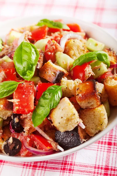Italiaanse salade met tomaten — Stockfoto
