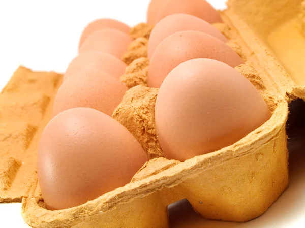 Raw Eggs on background — Stock Photo, Image