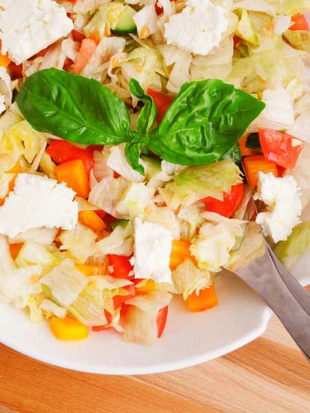 Vegetable salad  with peppers — Stock Photo, Image