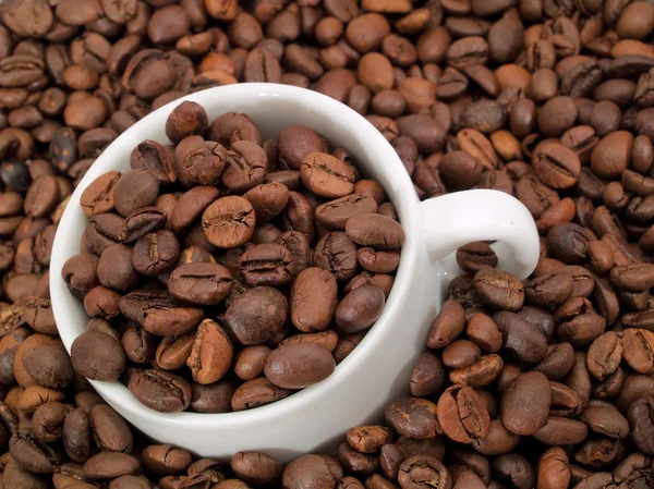 Coffee beans  on background — Stock Photo, Image