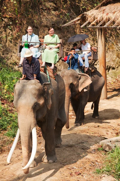European tourists enjoing an elephant ride — 图库照片