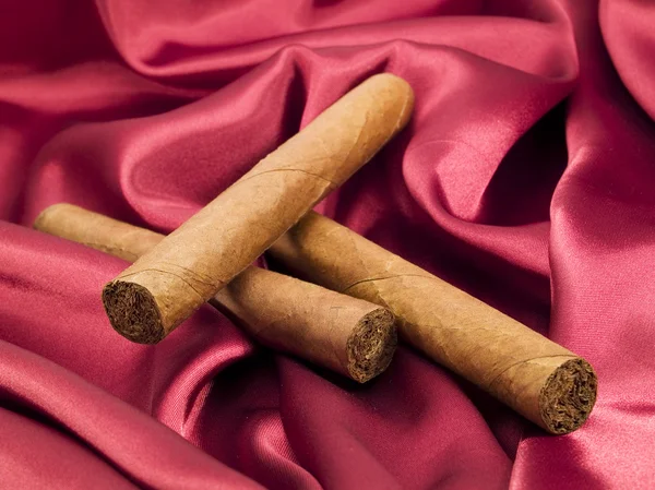 Expensive Cigars on background — Stock Photo, Image