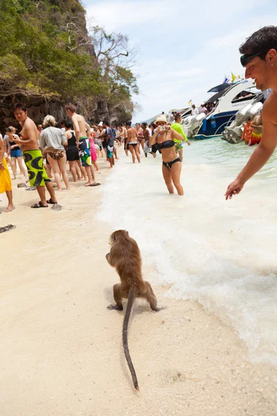 Tourists enjoying a trip to the Monkey Island — Φωτογραφία Αρχείου