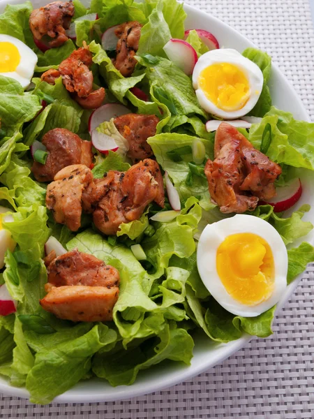 Salade de poulet aux feuilles vertes — Photo