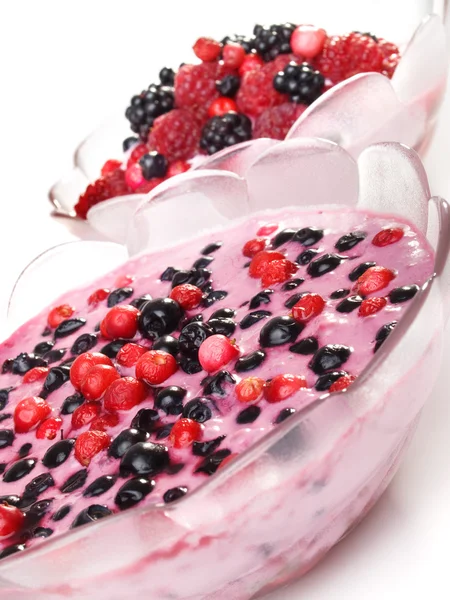 Iogurte de frutas silvestres — Fotografia de Stock