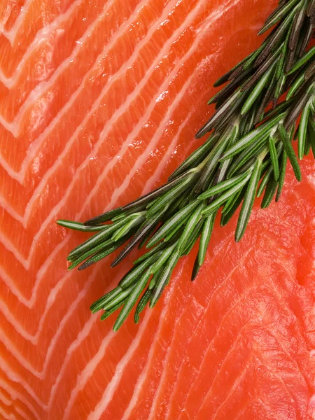 Raw salmon meat with rosemary — Stock Photo, Image