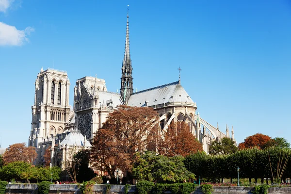 Notre Dame od Square du Jean Xxiii — Stock fotografie
