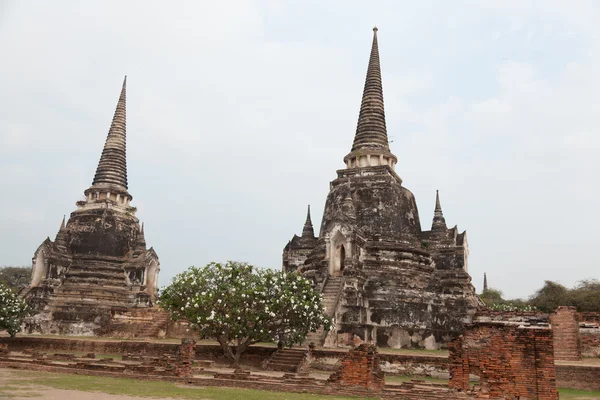 Wat Phra Si Sanphet, Ayuthaya — Fotografia de Stock