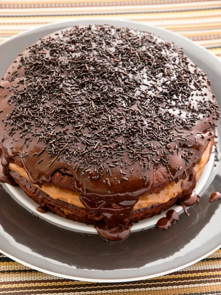 Tort de ciocolată de casă — Fotografie, imagine de stoc