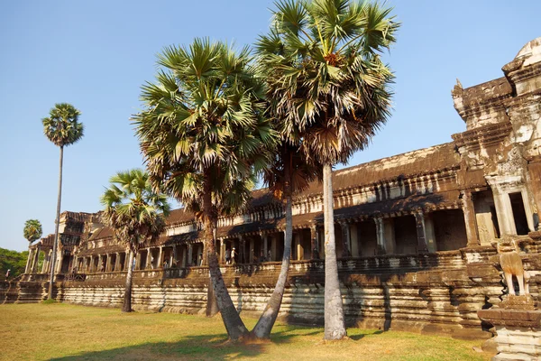 Angkor Wat por la tarde, Camboya —  Fotos de Stock