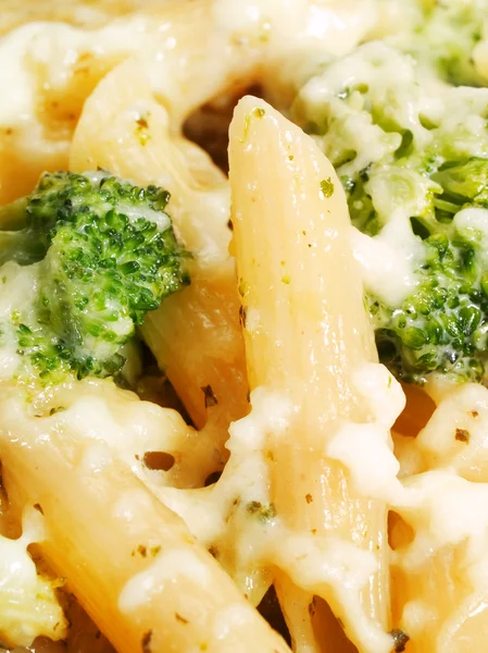 Pasta Collection  with broccoli — Stock Photo, Image