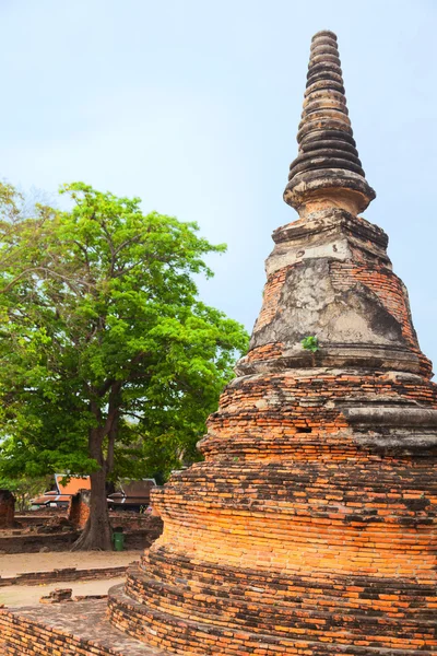 Wat Phra Si Sanphet, Ayuthaya — Stock fotografie
