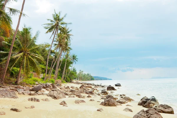 Praia de koh samui — Fotografia de Stock