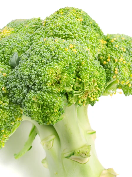 Green Brocolli on background — Stock Photo, Image