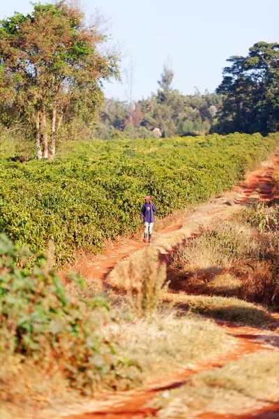 Homem queniano caminhando sozinho — Fotografia de Stock