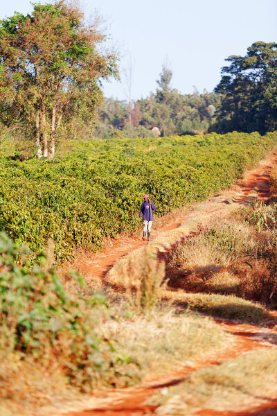 Kenyan man walking alone