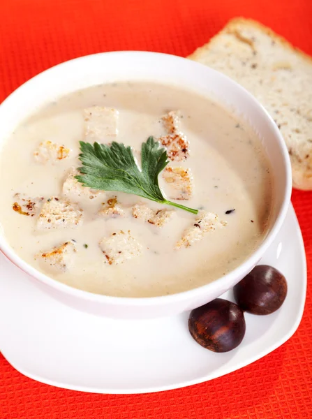 Sopa de crema de castaño con croutons —  Fotos de Stock