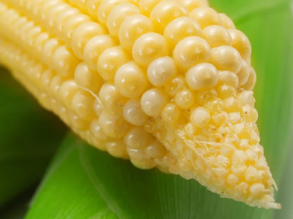 Kukuřičné potraviny na pozadí Stock Obrázky