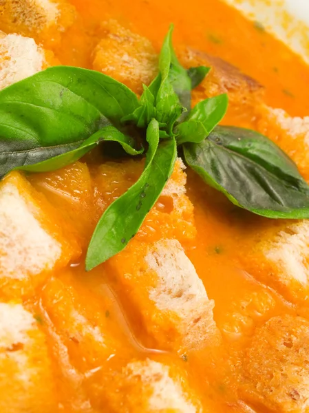 Italská polévka s pečenými rajčaty Stock Snímky