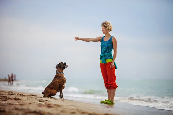 Young woman with boxer dog — Stock Photo, Image