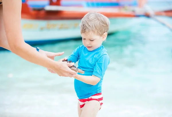 Madre dando estrellas de mar al niño —  Fotos de Stock