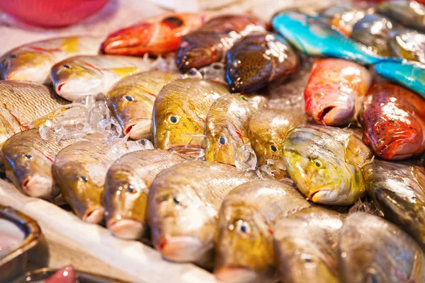 Ryby na sprzedaż na targ rybny — Zdjęcie stockowe