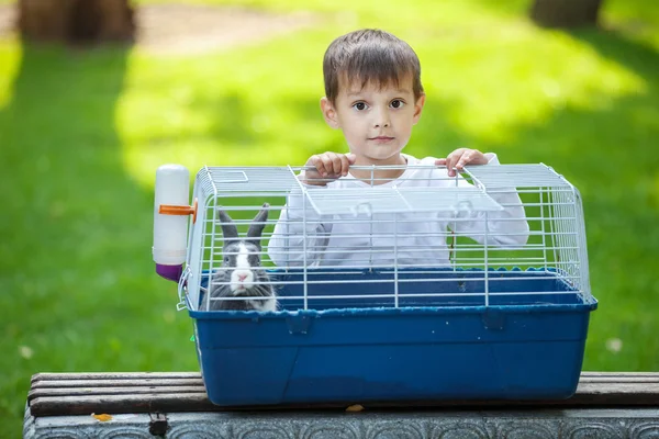 Předškolní chlapce otevírání klec králík — Stock fotografie