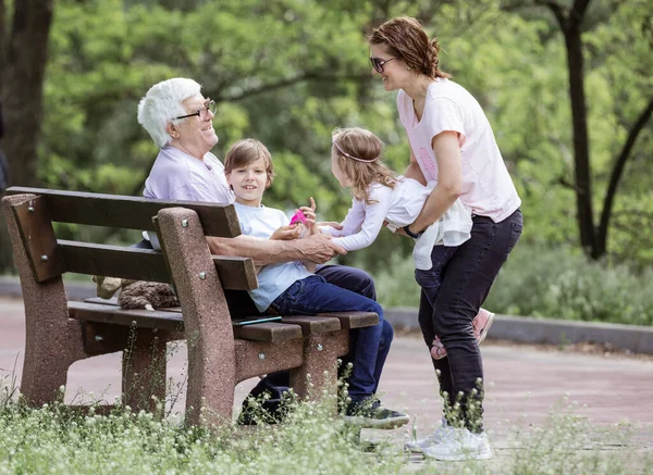Tre Generationer Familj Sommarparken Farfar Mor Och Barnbarn Lycklig Familj — Stockfoto