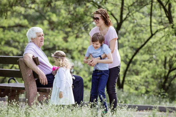 Tre Generationer Familj Sommarparken Farfar Mor Och Barnbarn Lycklig Familj — Stockfoto